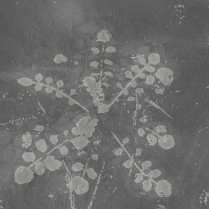 Constellation Of Data