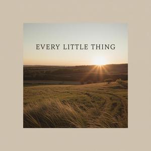 Every Little Thing