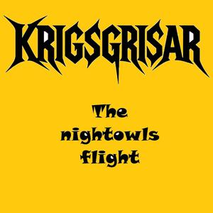 The nightowls flight