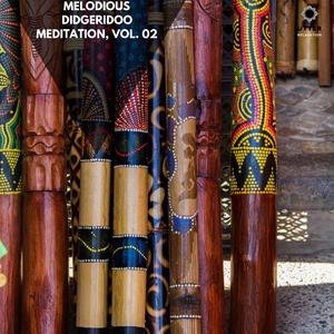 Vibrations Out (Aggressive Didgeridoo)