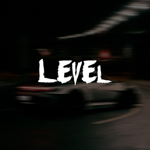 Level