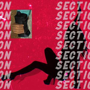 Section