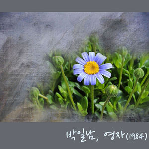 눈물젖은 두만강