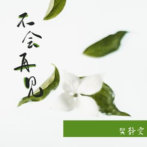 不会再见 (伴奏)