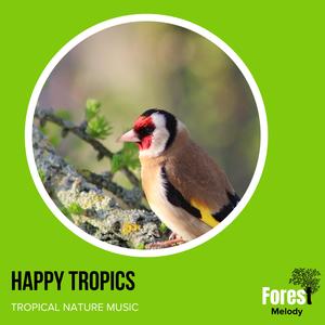 Tropical Rainstorm Aftermath