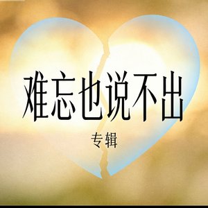 难忘也说不出