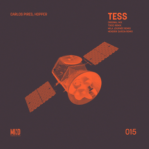 Tess (Hendrix Garcia Remix)