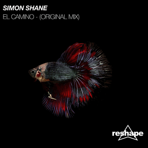 El Camino (Original Mix)