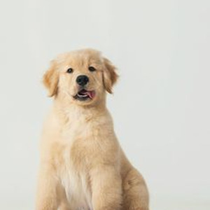 Mobile Home (sped up)