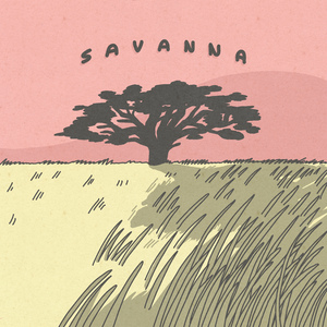 Savanna