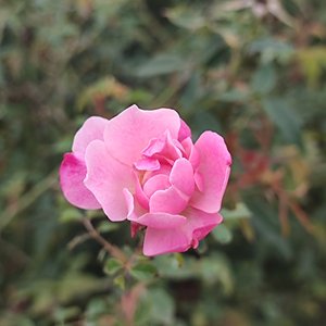 蜕变-伴奏