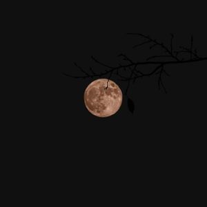 晚安(Tell Me Good Night)