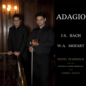 Sonata No. 1 in G Minor, Bvw 1001: I. Adagio