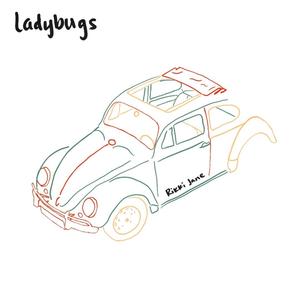 Ladybugs
