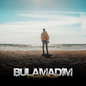Bulamadım