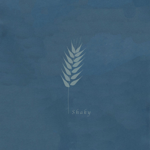 Shaky