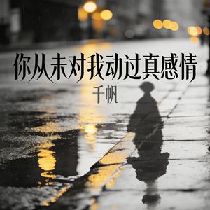 你从未对我动过真感情