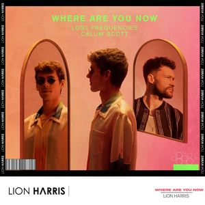Where Are You Now (LION HARRIS Festival Mix)