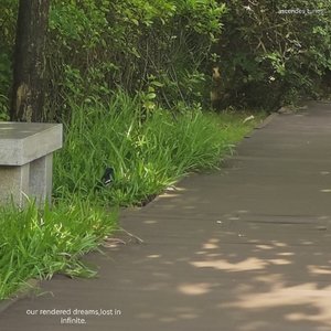 our rendered dreams,lost in infinite.