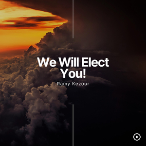 We Will Elect You!