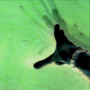 Apnea