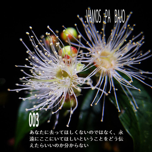 003. あなたに去ってほしくないのではなく、永遠にここにいてほしいということをどう伝えたらいいのか分からない