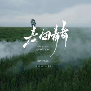 麦苗青青 (DJ版)