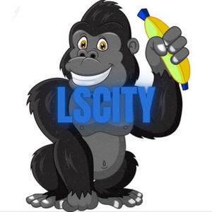 LsCity