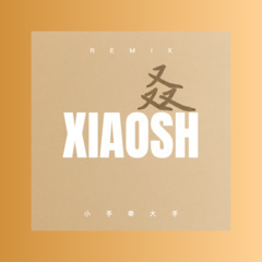 小手牵大手 (DJ版)