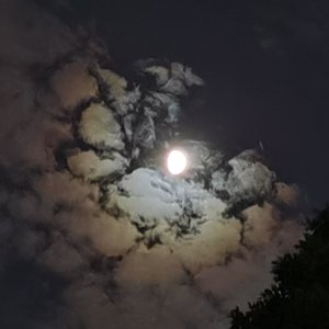 Moon(prod.by金桔orange)