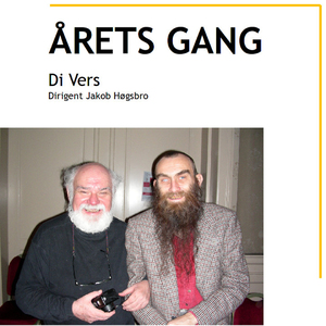 Sneen Falder Hvidt Frosten Den Har Bidt