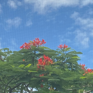 跟我回家？（prod.Vbnd）