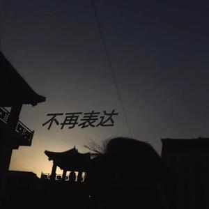 不再表达
