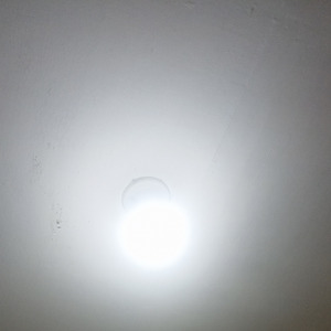 Tidurlah, kucing kecilku