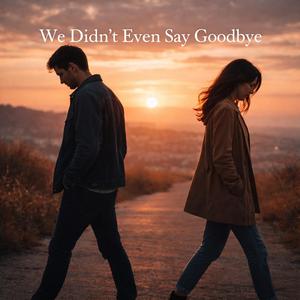 We Didn't Even Say Goodbye