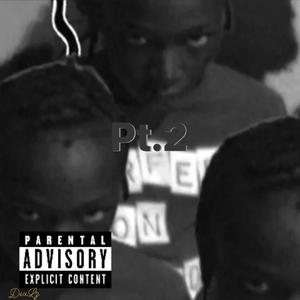 P.L.P.N.P, Pt. 2