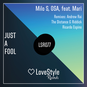 Just a Fool (The Distance & Riddick Remix)