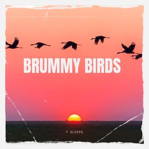 Tyseley Birds