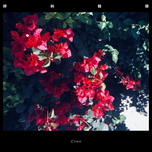 呼叫转移（지나기 전에remix）