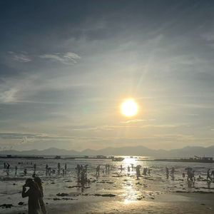 雨润青竹的空灵之韵