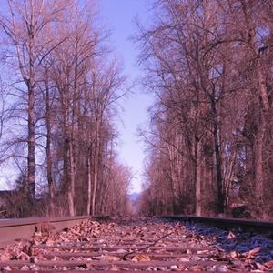 Kill Me Like You Love Me