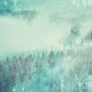 내년에는 잘 될거에요