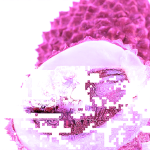 lichy
