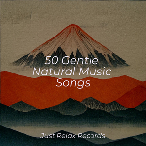 Melodic Clarity's Dance