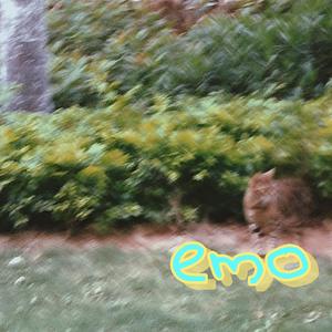 New Song (1)