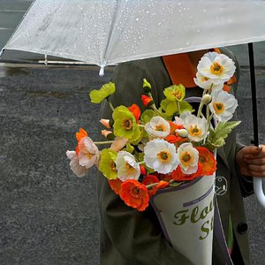 为什么到现在来找我