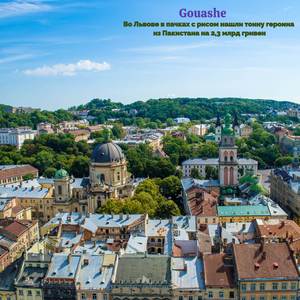 Во Львове в пачках с рисом нашли тонну героина из Пакистана на 2,3 млрд гривен