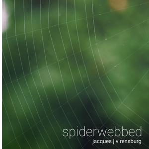 Spiderwebbed