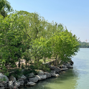 年轮（cover张碧晨）