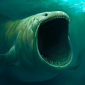 Evolution of the Bloop